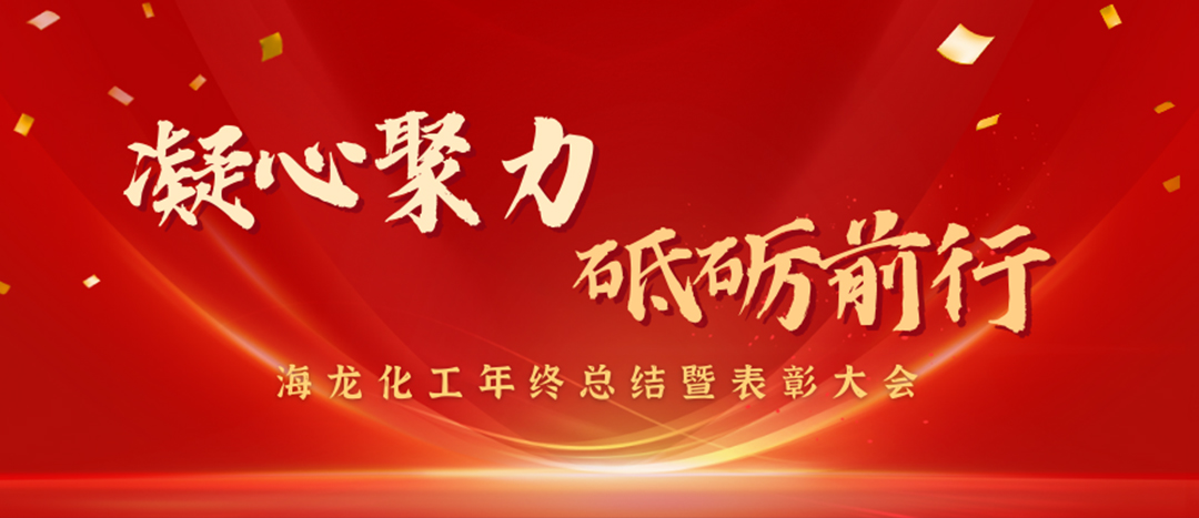 表彰 | 凝心聚力，砥礪前行，海龍化工年終總結(jié)暨表彰大會(huì)圓滿(mǎn)舉行